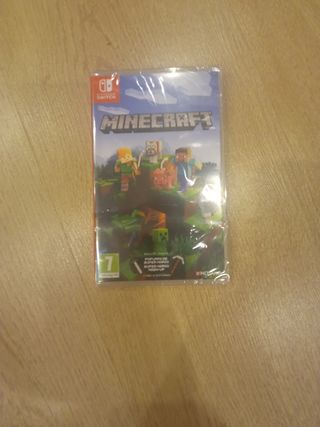 Minecraft Nintendo switch