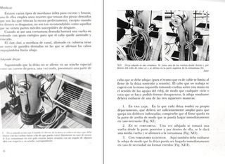 TRIPULACIONES DE ALTURA. BARCO. MARINERO.