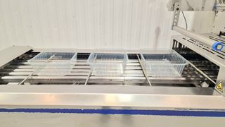 TERMOSELLADORA AUTOMATICA ILPRA SPEEDY MEC V/G