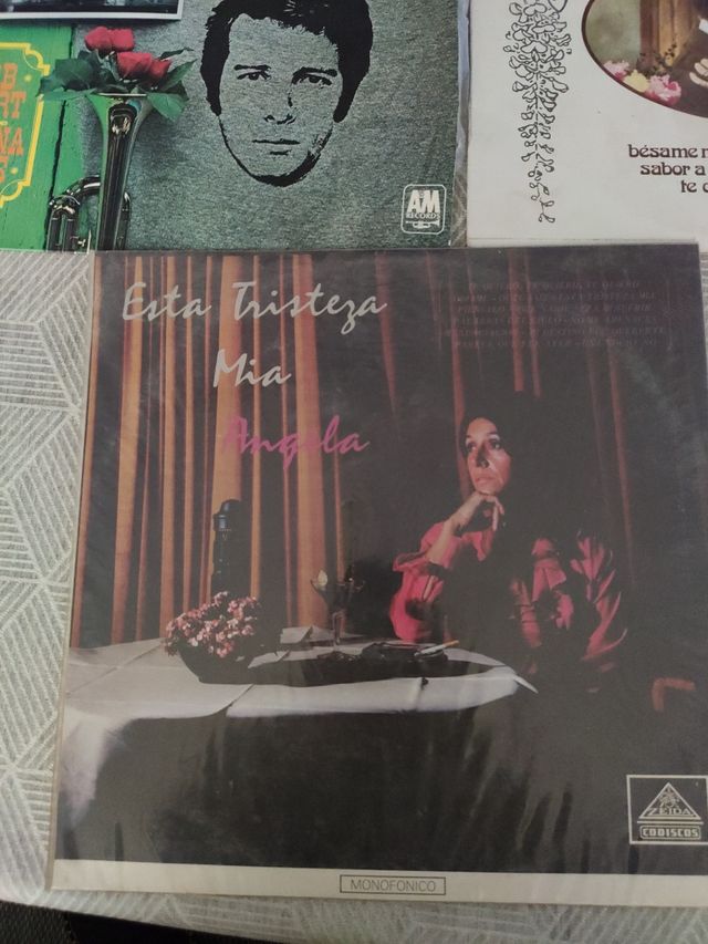 Lotto in vinile assortito
