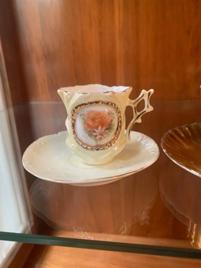 Juego de café o té de porcelana danesa