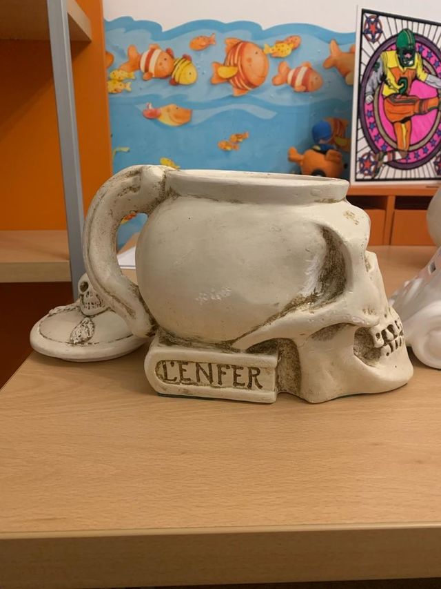 Calavera decorativa con caja incluida