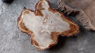 Rodajas Robinia, bricolaje, Mesilla