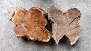 Rodajas Robinia, bricolaje, Mesilla