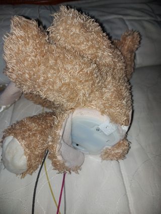 Peluche que habla y se mueve