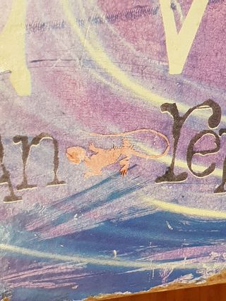 Skateboard o tabla de patinaje.