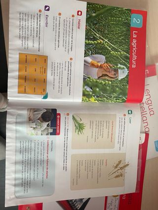 Lengua 5 primaria 8431300235106