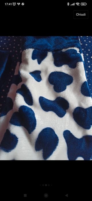 Set carnevale famiglia