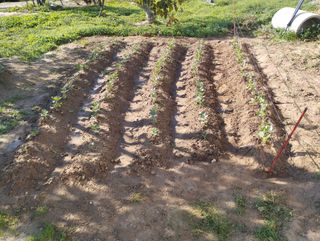 mantenimiento de hogar