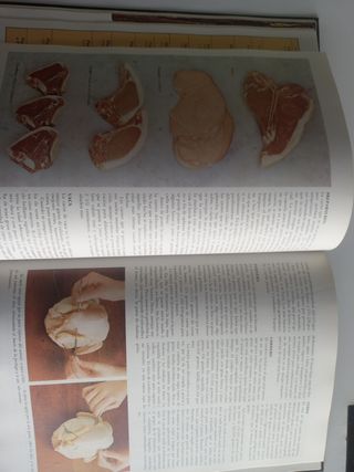 Guía práctica de la cocinera