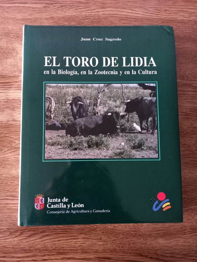 El Toro de Lidia