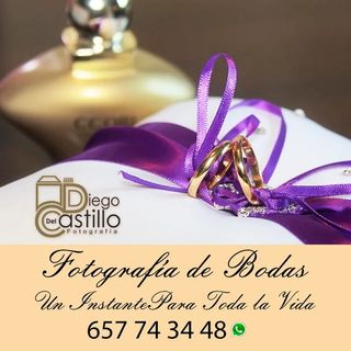 Fotógrafo Profesional