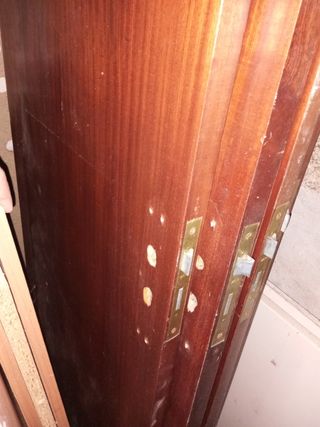 Puertas sapeli con cristal o ciega