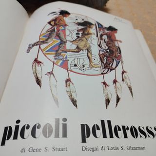 Piccoli pellerossa