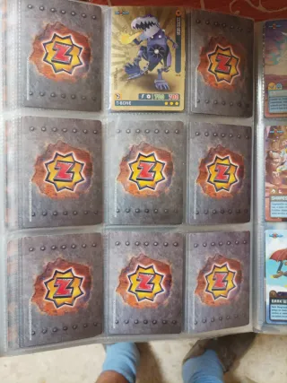 Album de cromos completo.