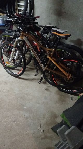 Bicicleta
