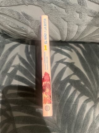 El niño y la bestia