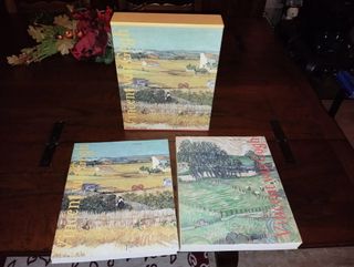 Van Gogh dipinti e disegni De Luca