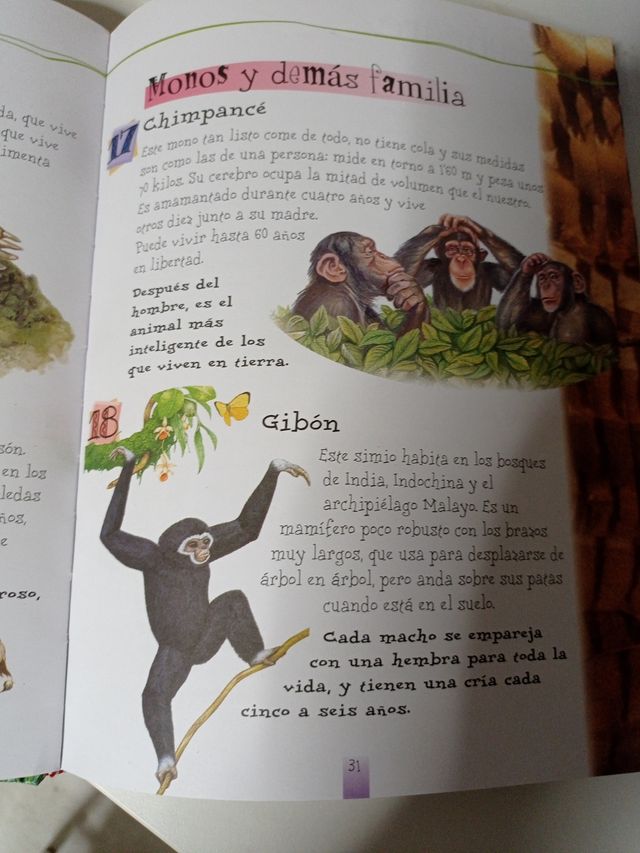 Cuento infantil "365 animales "