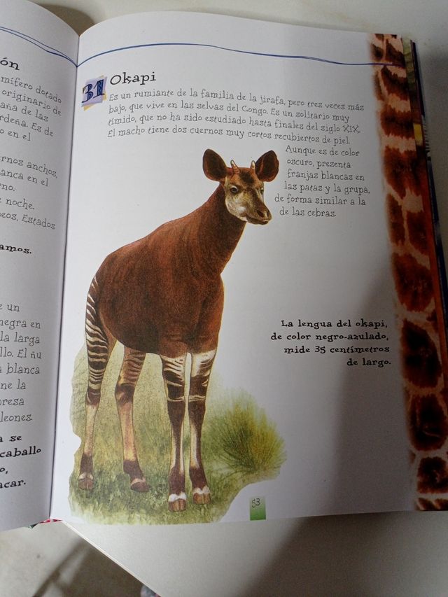 Cuento infantil "365 animales "