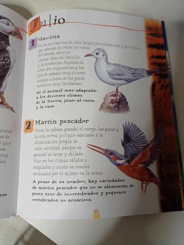 Cuento infantil "365 animales "