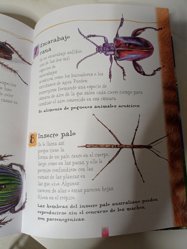 Cuento infantil "365 animales "