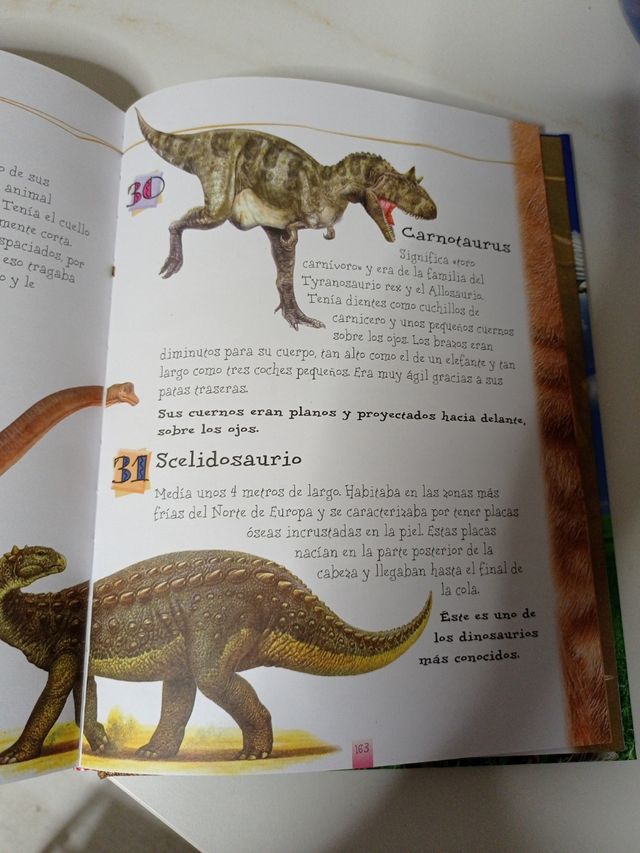 Cuento infantil "365 animales "