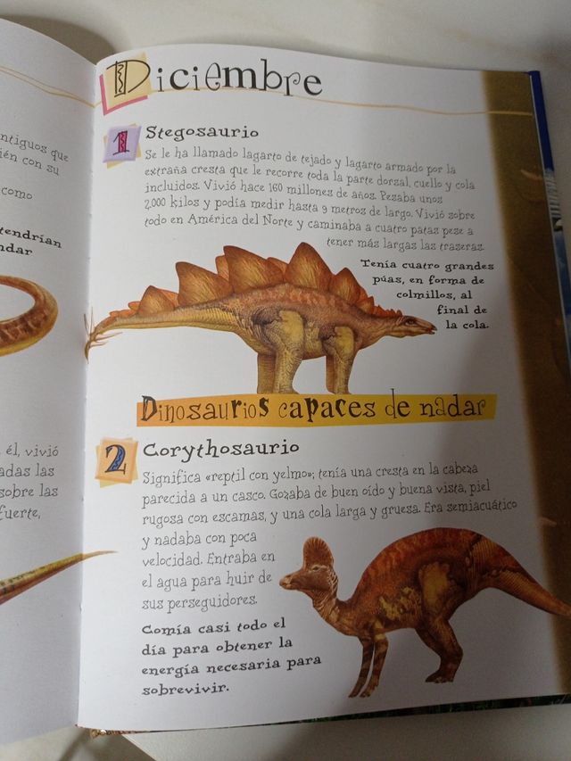 Cuento infantil "365 animales "