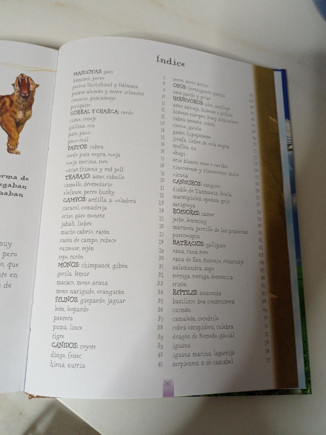 Cuento infantil "365 animales "