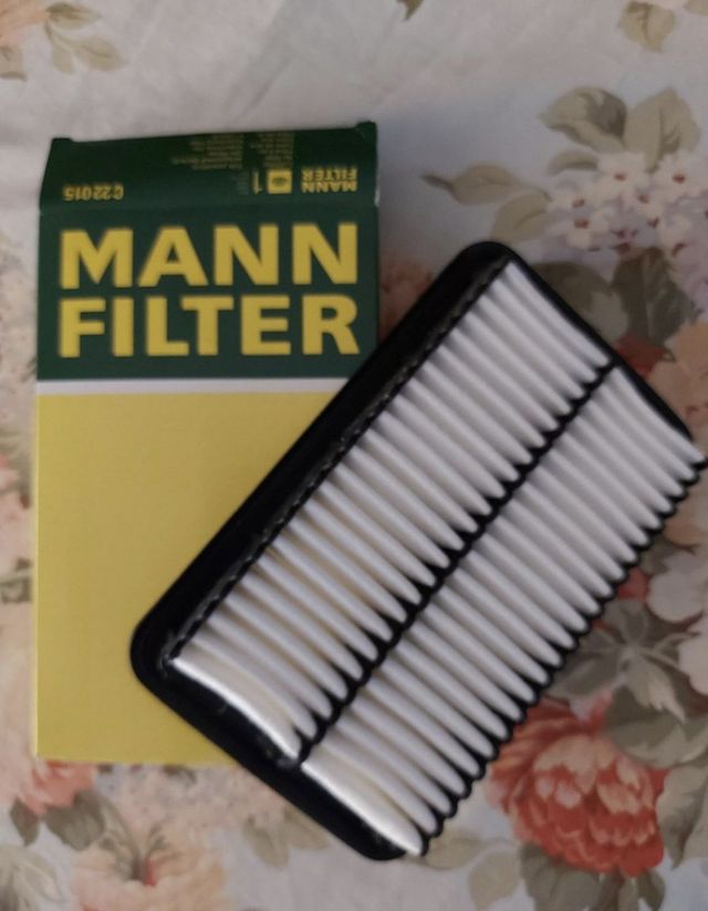 Filtro auto aria C22015