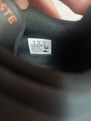 Bambas Lacoste s Elite active