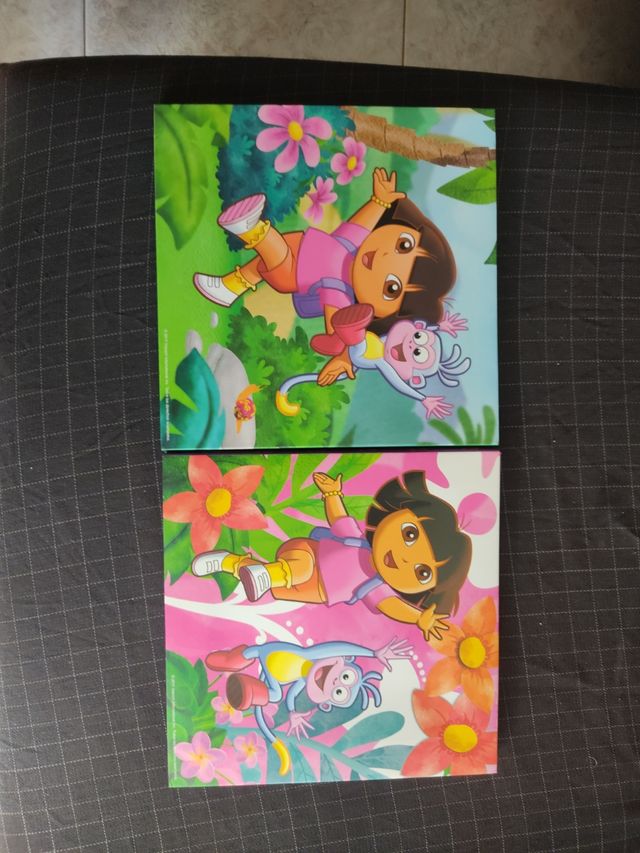 Cuadro cuadros decorativos Dorala