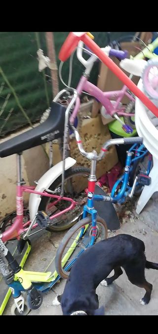 Coleccion de bicicletas clásicas y mas