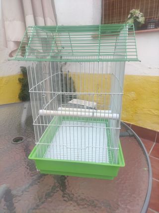 Jaula pájaro
