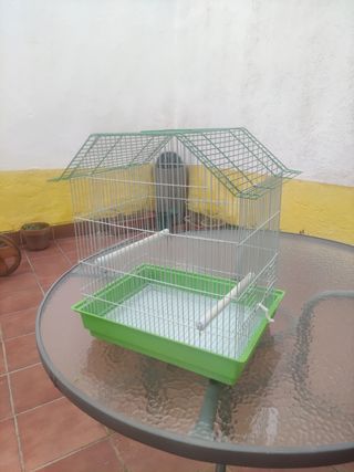 Jaula pájaro