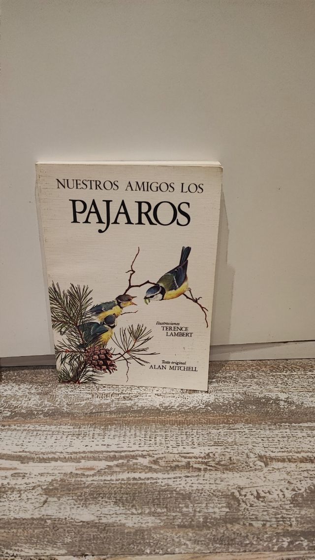 Nuestros amigos los pajaros