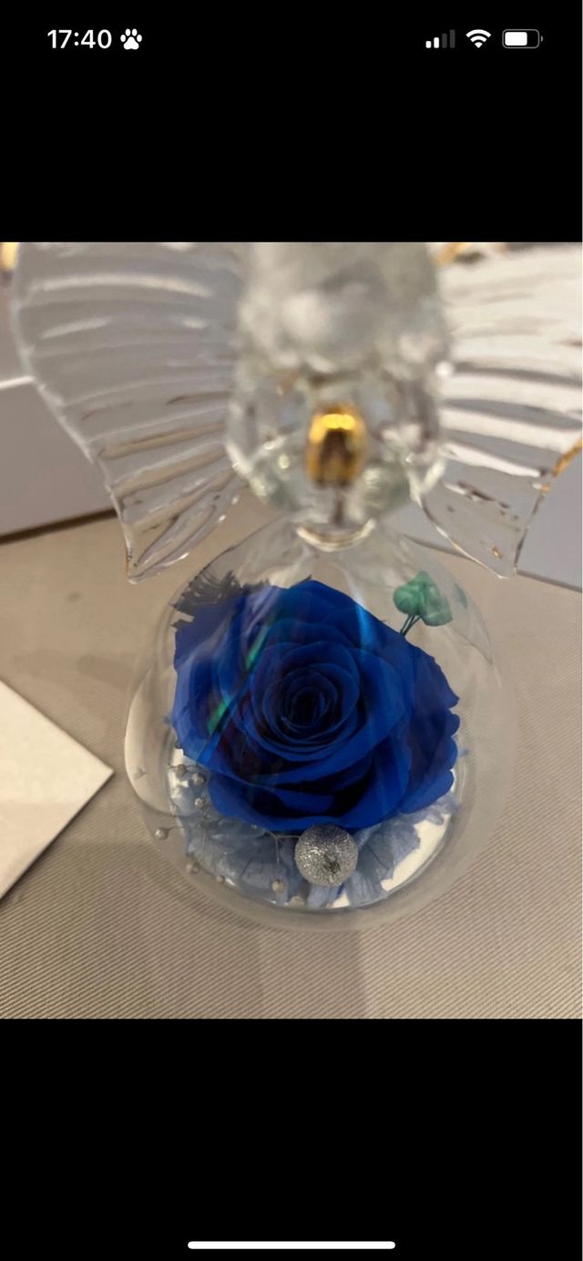 angelo con rosa stabilizzata