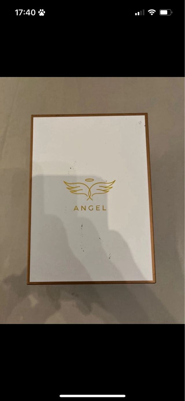 angelo con rosa stabilizzata