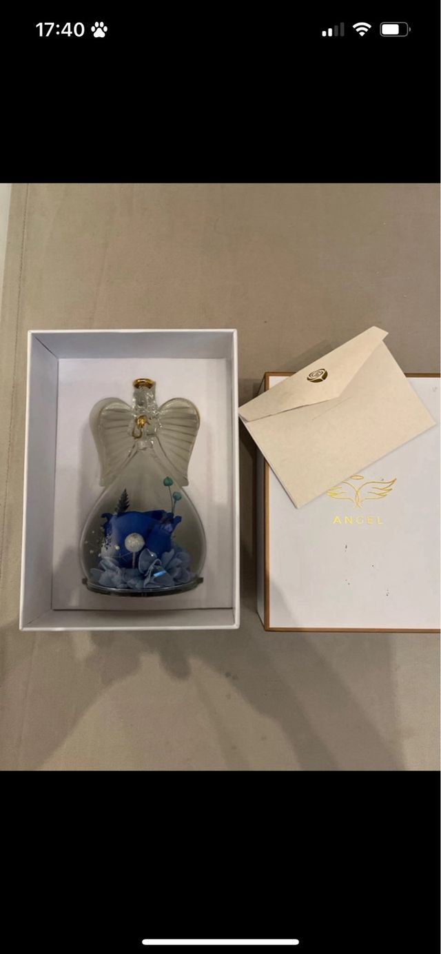 angelo con rosa stabilizzata