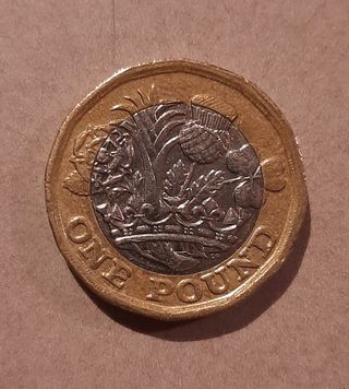 Moneta da 1 pound inglese anno 2017