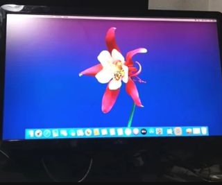 MONITOR DELL 24 "