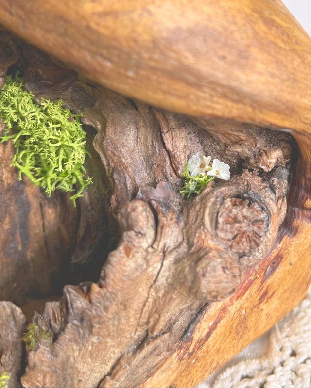 Canddeiro rústico Madeira