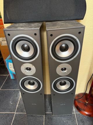 AEG LB 4711 Torre de Sonido