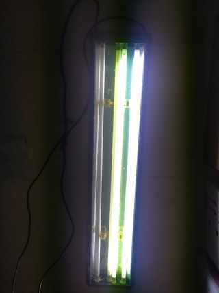 Pantalla Acuario Plantado ODYSSEA