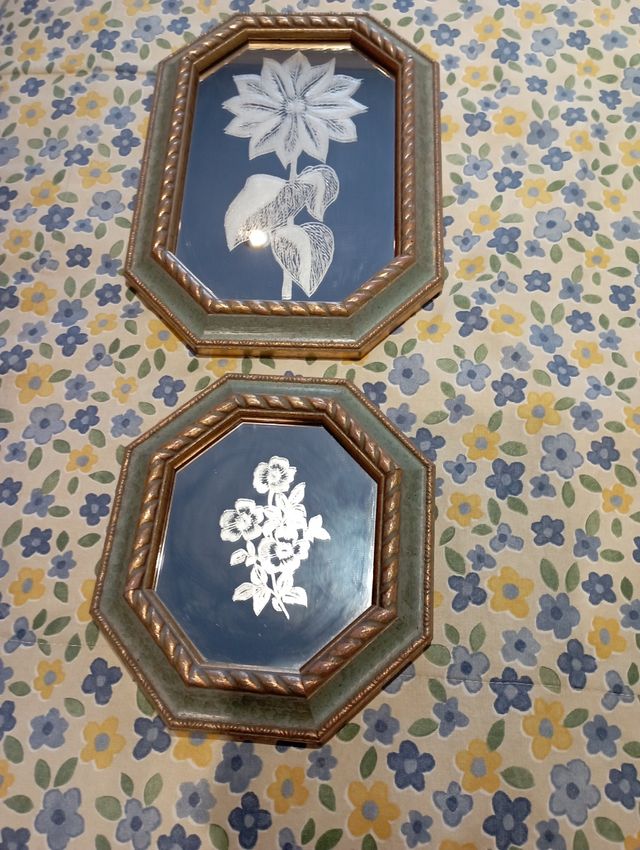 Dos cuadros de espejo con flores .