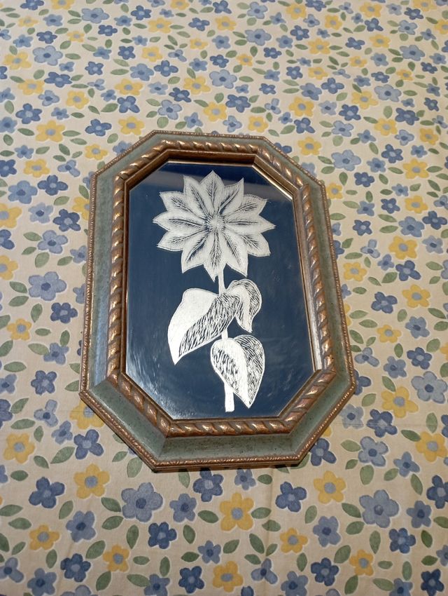 Dos cuadros de espejo con flores .