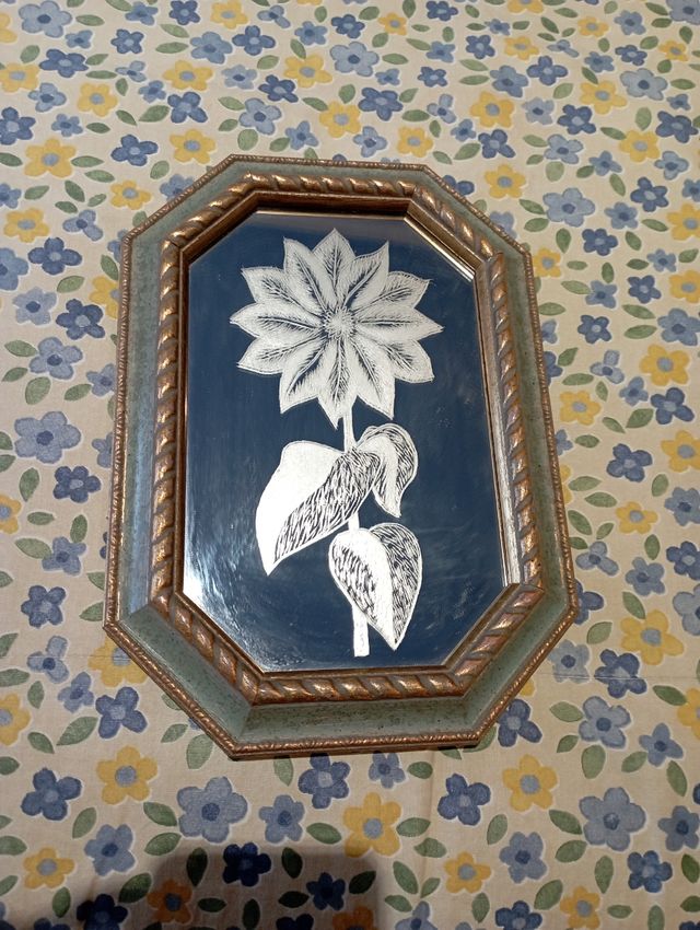 Dos cuadros de espejo con flores .