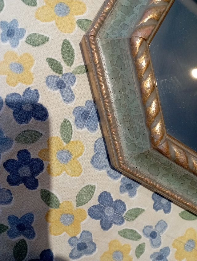 Dos cuadros de espejo con flores .