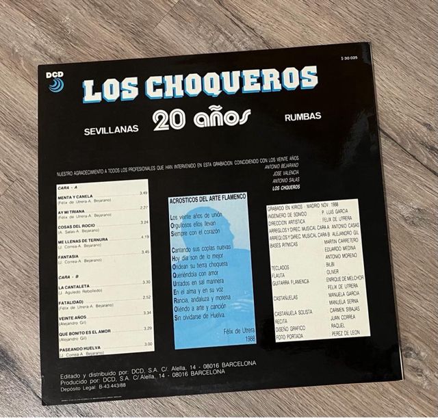 Disco Vinilo Choqueros
