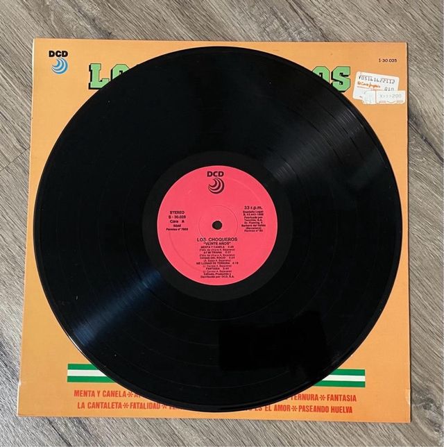 Disco Vinilo Choqueros